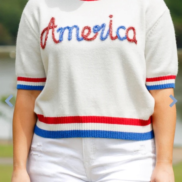 I Pledge Allegiance Sweater Crop Top, Chic Soul, 2XL - Picture 3 of 10